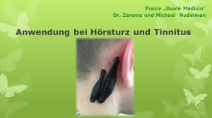 Blutegel-Therapie2